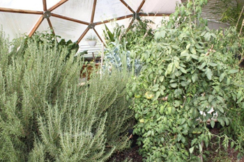 David W. Allan, year round green house for herbs and fresh food, spirtuality and health. 